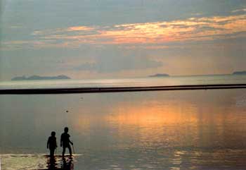 clam diggers