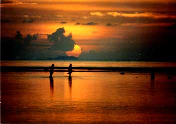clam diggers