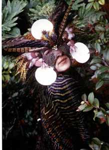 Melinda in Bush