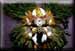 Gold Striped Mask