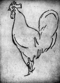 Page's etching of a Rooster